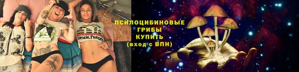 соль курить ск Алексеевка