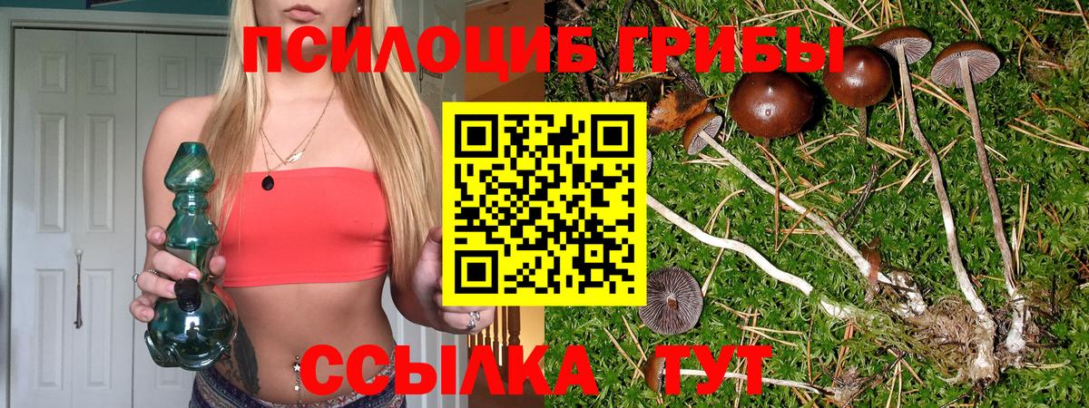 Псилоцибиновые грибы GOLDEN TEACHER Белореченск