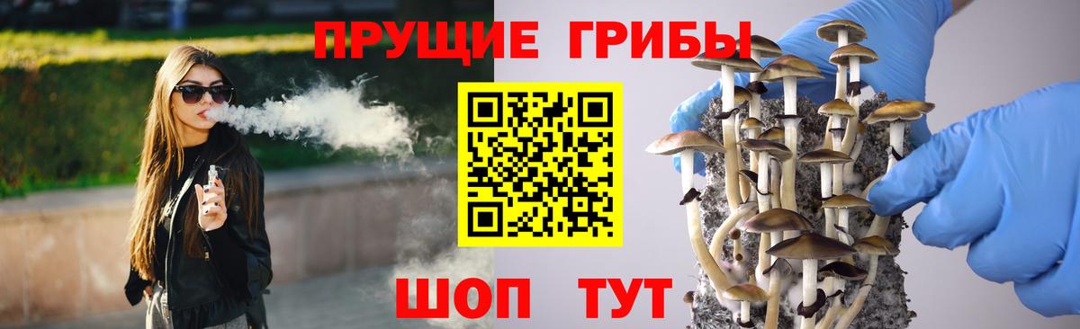 Галлюциногенные грибы Psilocybe  Вход с VPN  Псилоцибиновые грибы мицелий  Белореченск 